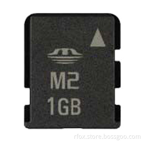 Memory Stick Micro M2 Card (1GB)